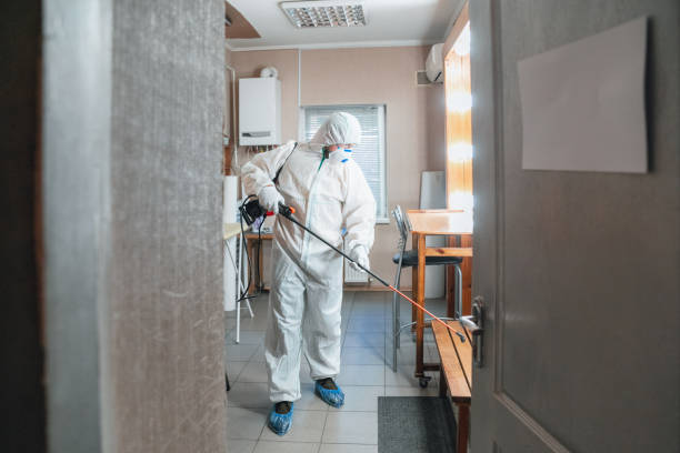 Best Emergency Mold Remediation  in Roundup, MT