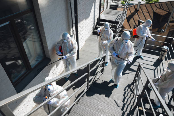 Mold Remediation for Vacation Homes in Roundup, MT