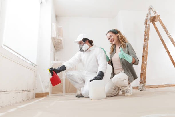 Reliable Roundup, MT Mold Removal Solutions